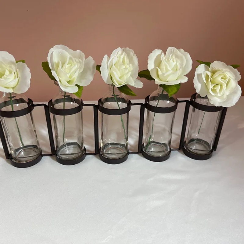 Set of 5 Glass Vases with Black Metal Holder