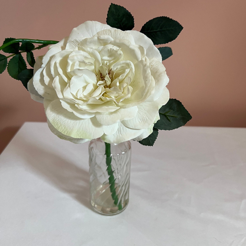 Creamy White Rose in Decorative Clear Glass Vase 